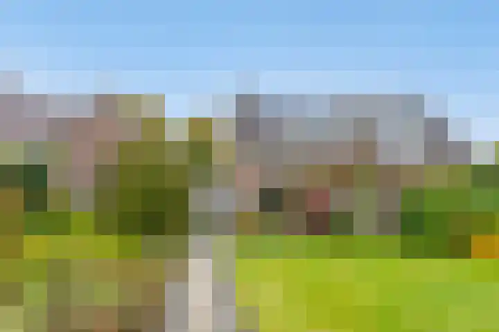 Doornakkers 16 Anloo thumbnail 24
