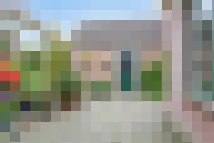 Doornakkers 16 Anloo thumbnail 25