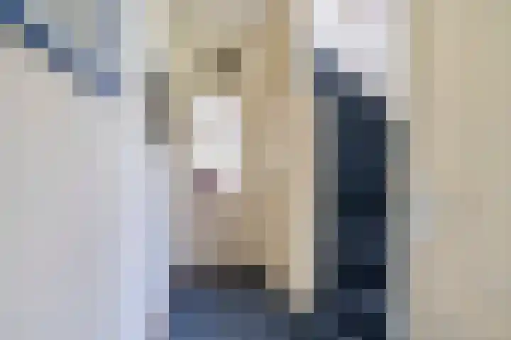 Doornakkers 16 Anloo thumbnail 28