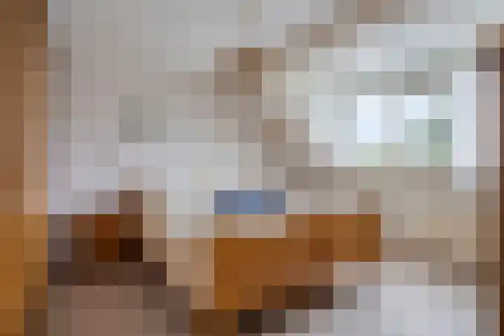 Doornakkers 16 Anloo thumbnail 30