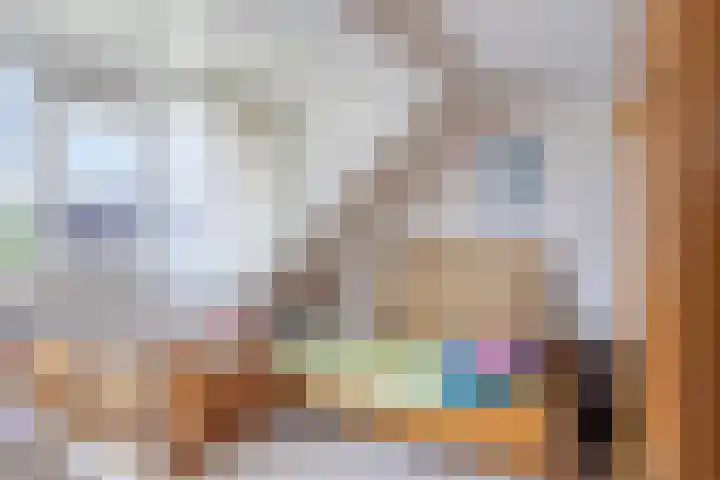 Doornakkers 16 Anloo thumbnail 33