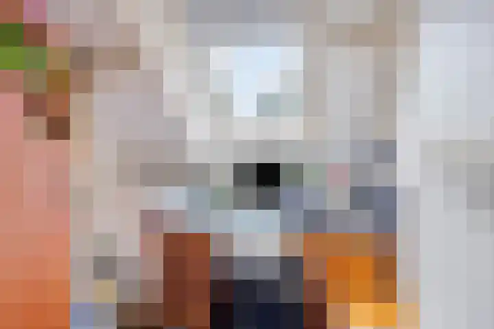 Doornakkers 16 Anloo thumbnail 34