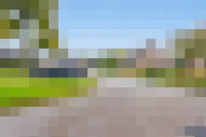 Doornakkers 16 Anloo thumbnail 38