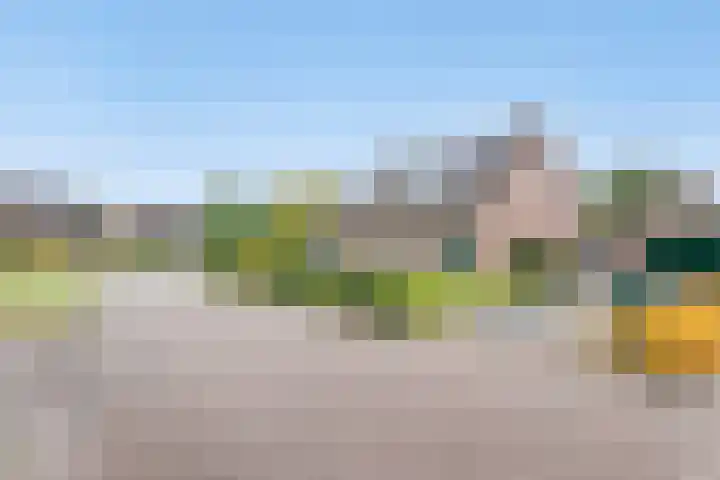 Doornakkers 16 Anloo thumbnail 39