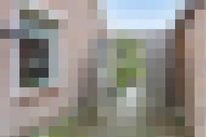 Doornakkers 16 Anloo thumbnail 41