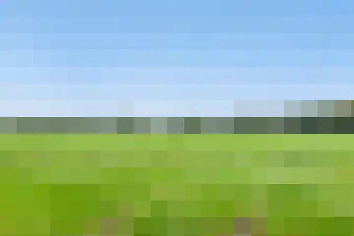 Doornakkers 16 Anloo thumbnail 45