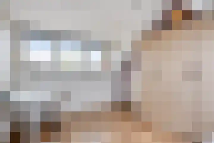 Doornappel 2 Heemskerk thumbnail 16