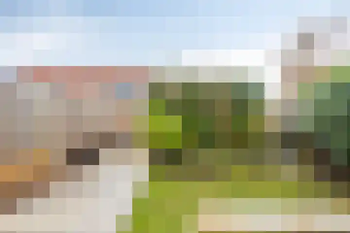 Doornappel 2 Heemskerk thumbnail 19