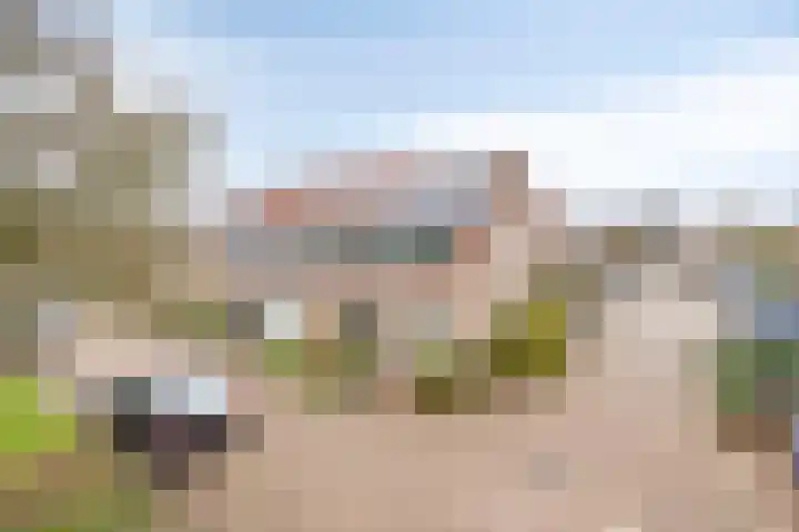 Doornappel 2 Heemskerk thumbnail 21