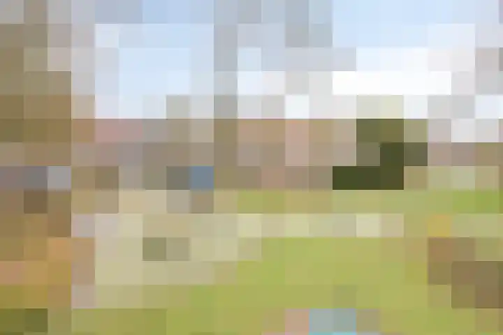 Doornappel 2 Heemskerk thumbnail 23