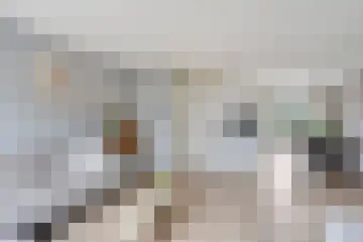 Doornappel 2 Heemskerk thumbnail 4