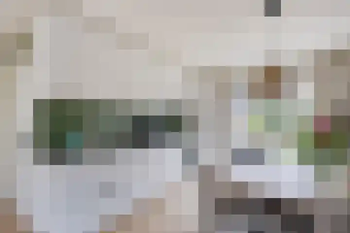 Doornappel 2 Heemskerk thumbnail 5