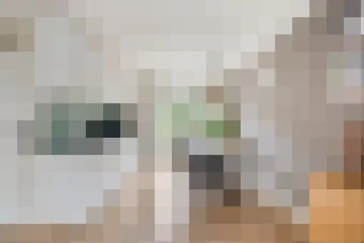 Doornappel 2 Heemskerk thumbnail 6