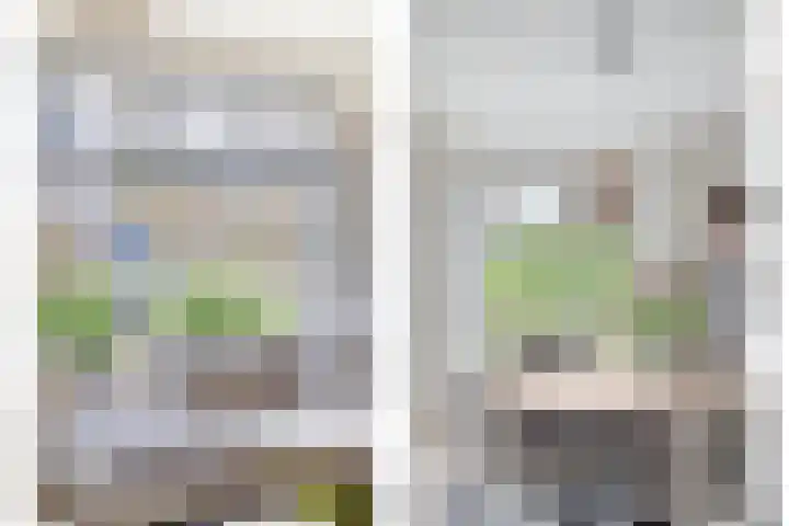 Doornappel 2 Heemskerk thumbnail 8