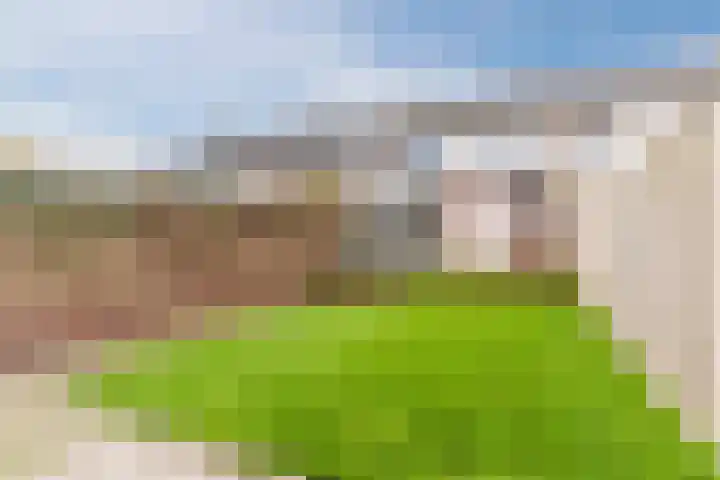 Doornbocht 6 Steensel thumbnail 37