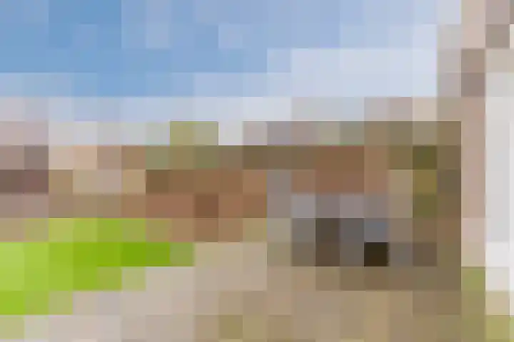 Doornbocht 6 Steensel thumbnail 38