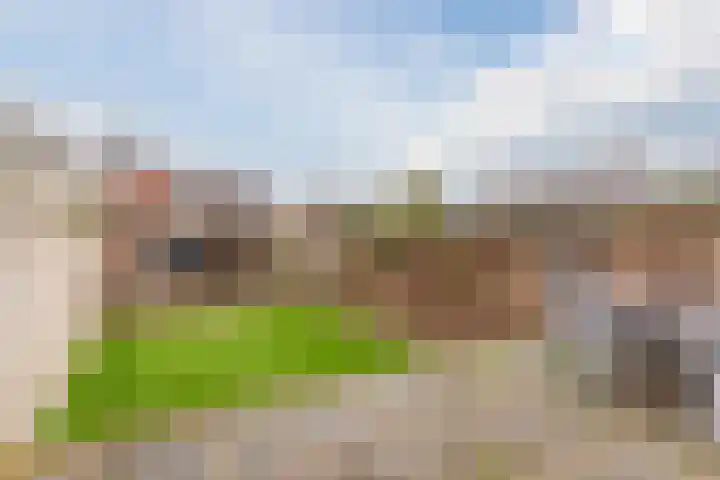 Doornbocht 6 Steensel thumbnail 4