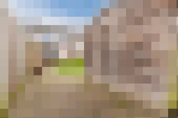 Doornbocht 6 Steensel thumbnail 40