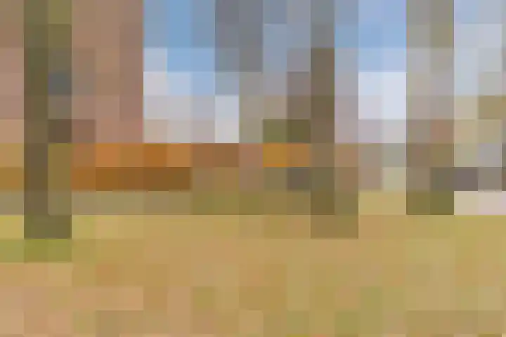 Doornbocht 6 Steensel thumbnail 42