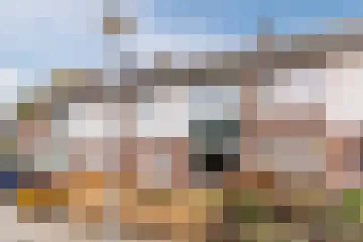 Doornbocht 6 Steensel thumbnail 7