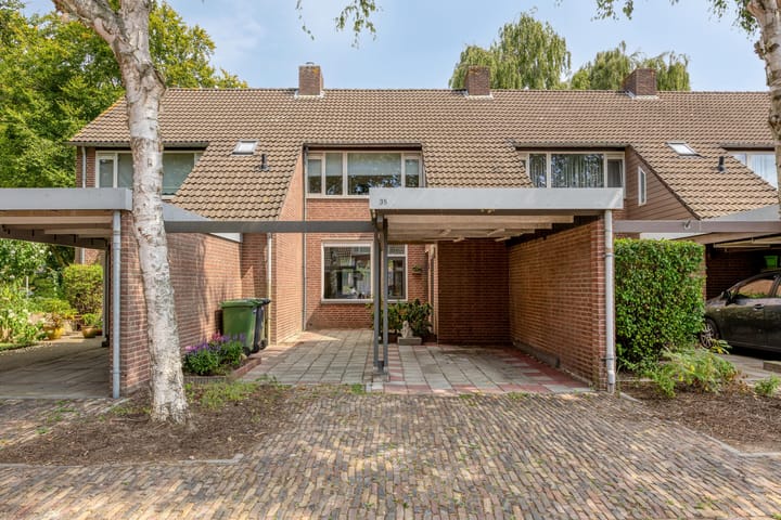 Doornbos 35 in Rijen foto
