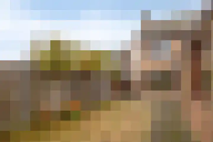 Doornedijkje 56 Steenbergen thumbnail 37