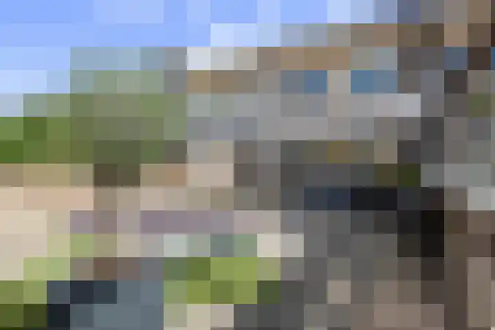Doornenburgallee 9 Duiven thumbnail 18