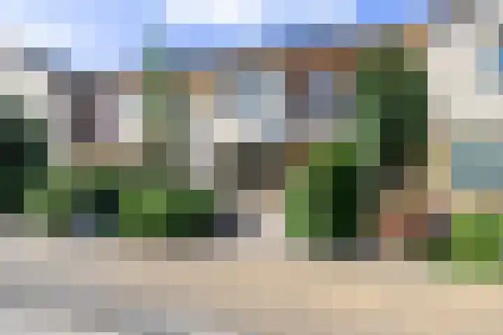 Doornenburgallee 9 Duiven thumbnail 6