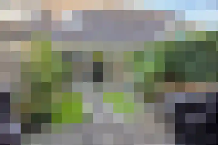 Doornheegde 37 Meppel thumbnail 29