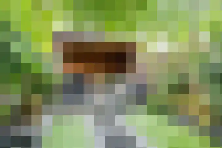 Doornheegde 37 Meppel thumbnail 30