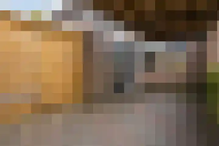 Doornheegde 37 Meppel thumbnail 32