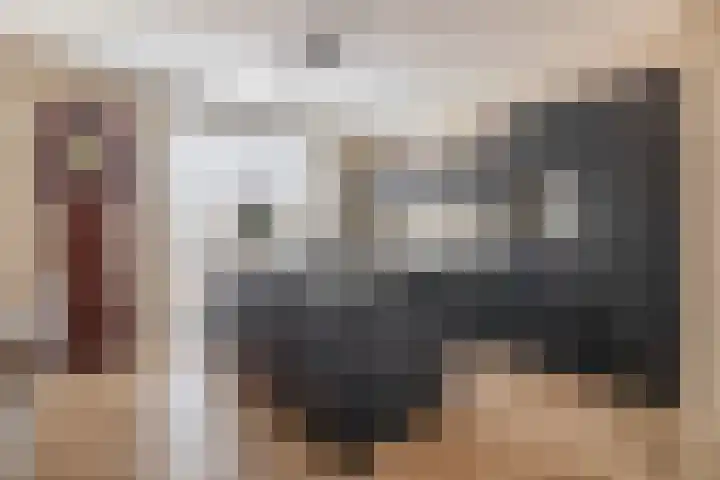 Dophamer 38 Best thumbnail 17
