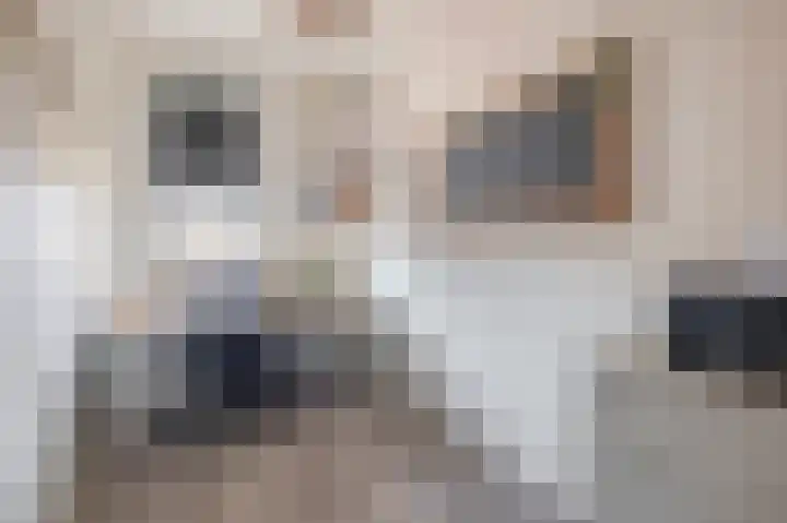 Dophamer 38 Best thumbnail 30