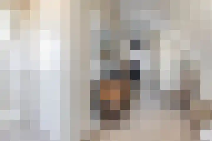Dophamer 38 Best thumbnail 34