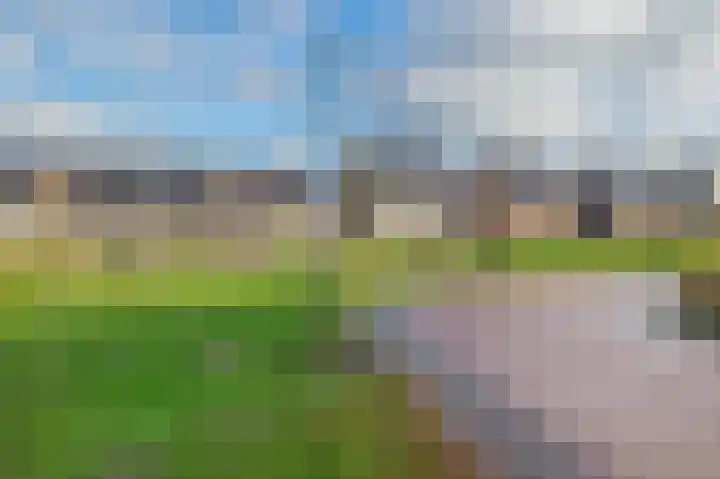 Dophamer 38 Best thumbnail 49