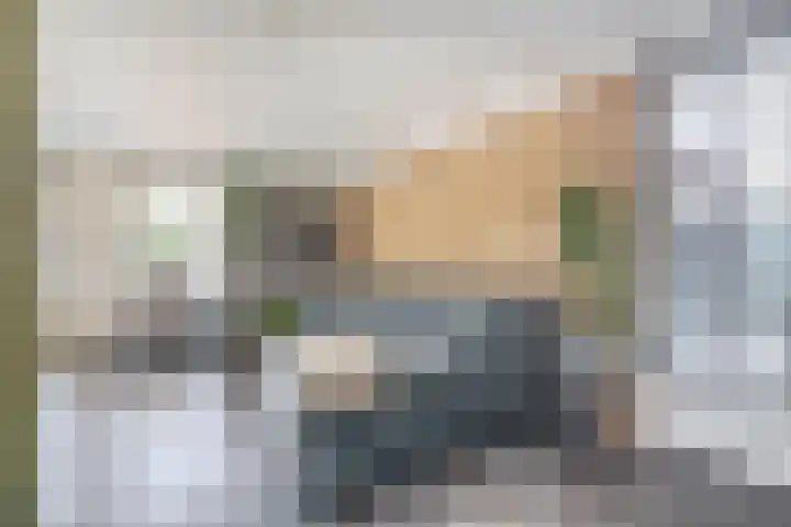 Dopheide 15 Meijel thumbnail 19