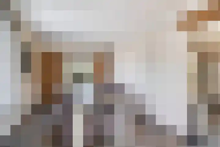 Dopheide 15 Meijel thumbnail 20