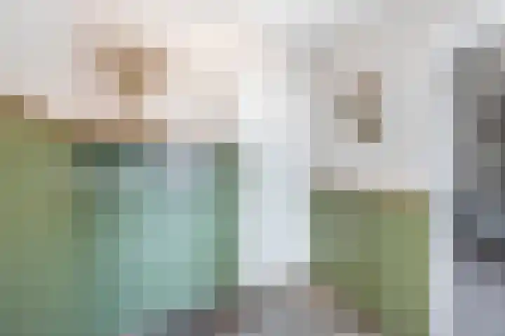 Dopheide 15 Meijel thumbnail 23