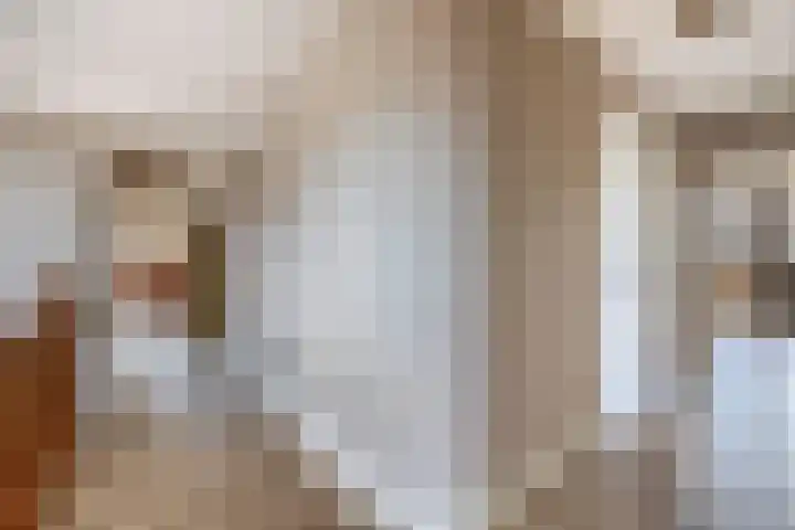 Dopheide 15 Meijel thumbnail 25