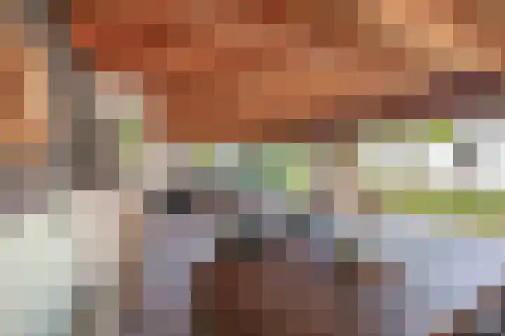 Dopheide 15 Meijel foto 3