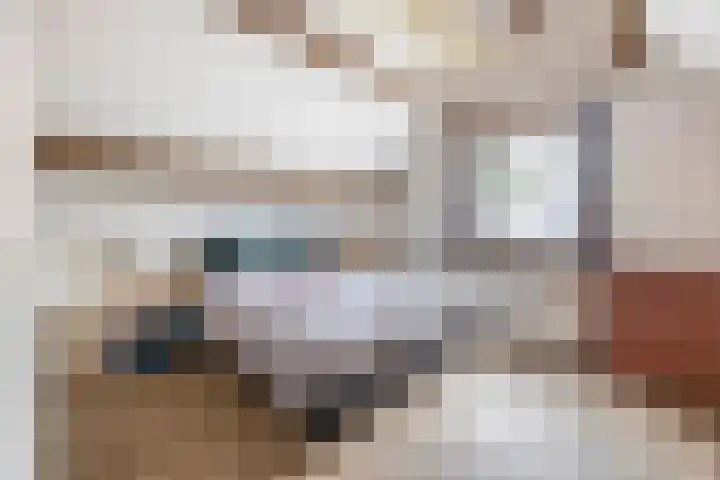 Dopheide 15 Meijel thumbnail 31