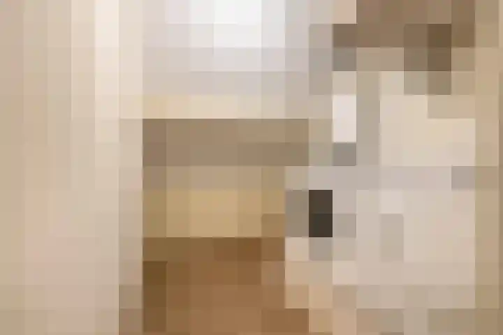 Dopheide 15 Meijel thumbnail 36