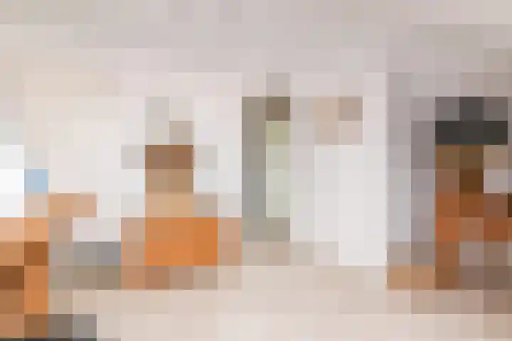 Dopheide 15 Meijel thumbnail 39