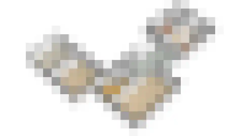 Dopheide 15 Meijel thumbnail 4