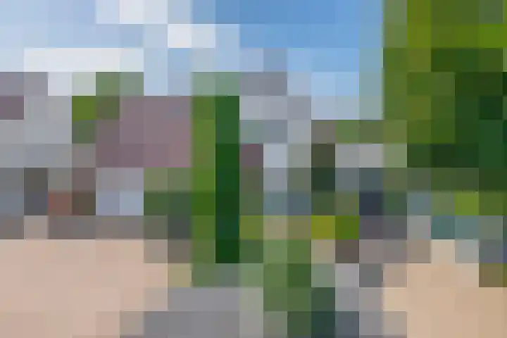 Dopheide 15 Meijel thumbnail 40