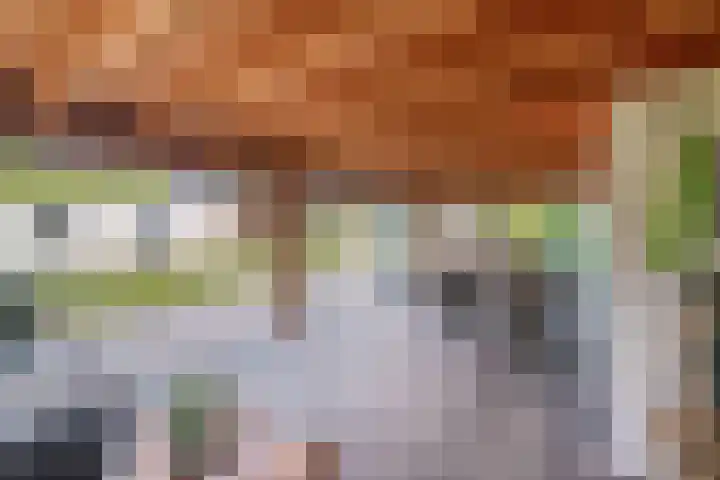 Dopheide 15 Meijel thumbnail 45