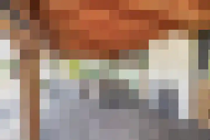 Dopheide 15 Meijel thumbnail 46