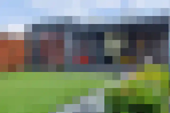 Dopheide 15 Meijel thumbnail 47