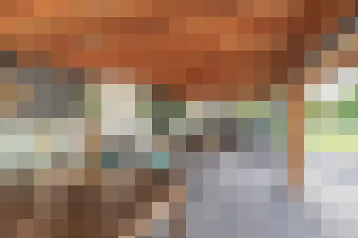 Dopheide 15 Meijel thumbnail 48