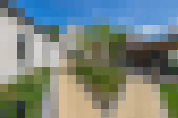 Dopheide 15 Meijel thumbnail 50